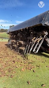 639K views · 443 reactions | Golf field preparation Partner: dint.golf.solutions IG: https://www.instagram.com/dint.golf.solutions | Genius Panda | Facebook