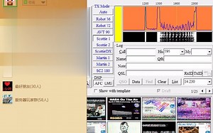 骂人的SSTV