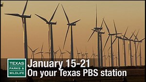 11K views · 406 reactions | On our next PBS show, learn how wind...