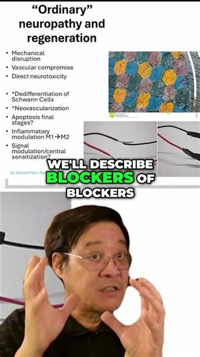 #22 Cellular Repair - The Dedifferentiation Process Explained!