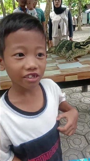 si paling berani, pegang iguana #iguana #iguanaindonesia