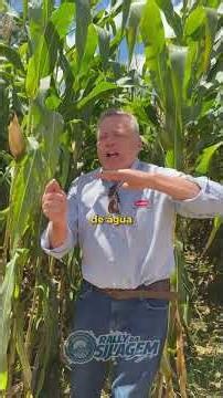 Inoculating silage the right way