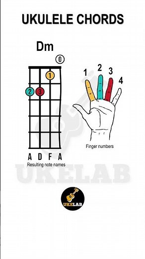 Dm chord on ukulele - beginner friendly lesson #ukelele #itsuukuleletutorial #ukulelebeginner