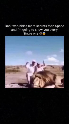 Banned footage only on Instagram: "Just @bannedfootageonly #创新事实可再生能源创新事实可再生能源 荷兰正在测试一种会发 电的道路。这些道路表面铺设了特殊的太阳能板,并覆盖着一层透明 且非常坚固的保护层。当阳光照射到路面时,太阳能电池会吸收光能 并将其转化为电能。这些电力可以用于街道照明、交通信号灯,甚至 为电动车充电。虽然每一小段道路产生的电量有限,但在长距离和高 曝光的路段,累计起来的电力相当可观。这项技术不仅减少了对化石 燃料的依赖,还为建设可持续和智能城市提供了新的可能性,让日常 基础设施也能成为清洁能源的来源。#荷兰#你知道吗#知识科..."