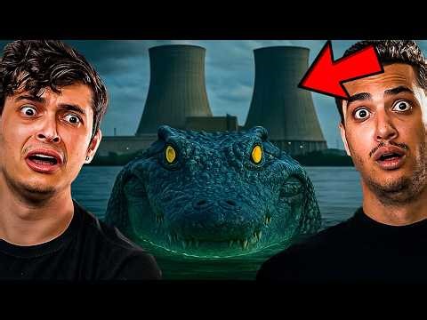 Why do crocodiles live in nuclear power plants?