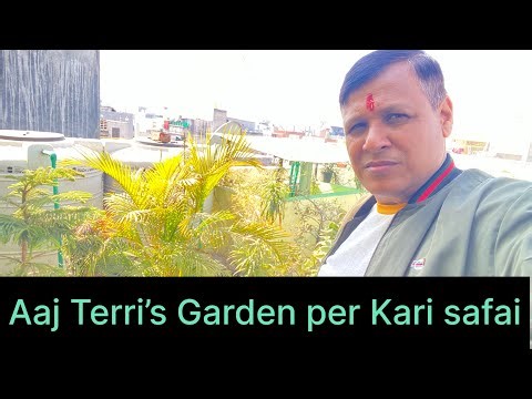 आज टेरिस गार्डन पर कड़ी सफाई