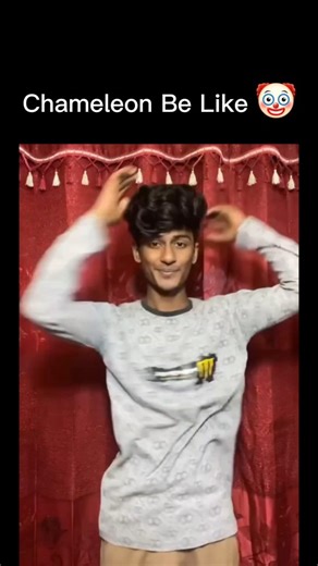 Memer Boy on Instagram: "The **chameleon** is a fascinating Old World lizard renowned for its numerous unique adaptations, making it one of the most distinctive reptiles on the planet. Its most famous trait is the ability to change its skin color, a function primarily used not for camouflage, but for **communication**—signaling mood, aggression, or reproductive status—and for **thermoregulation**. This color change is achieved by actively tuning a layer of special cells containing guanine nanocr