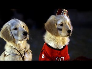 Treasure Buddies