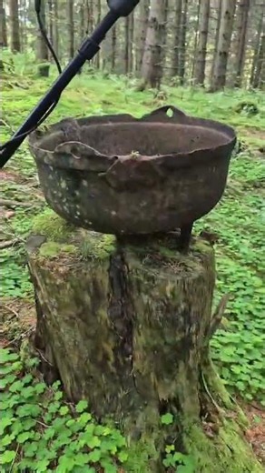 Hidden Deep in the Forest… Giant Iron Pot Found with Equinox 800 #treasuresearch #metaldetecting