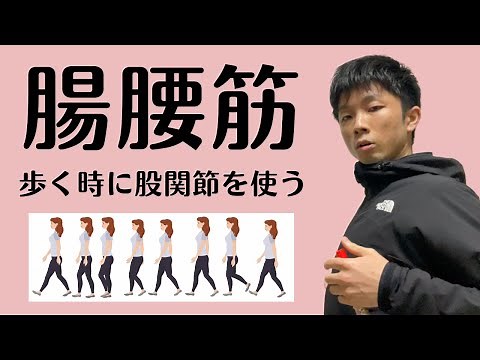 【腸腰筋を歩く時に使うためには？】腸腰筋をしっかり使った歩き方になるために必要なこと！股関節が歩く時に働くための条件を解説！【愛媛県松山市 ピラティス・整体】