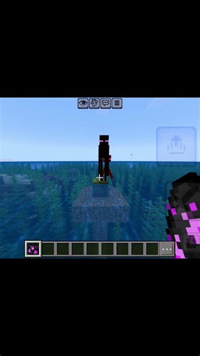 Bhai chara in minecraft ! 🤘 #minecraft #shorts #viral