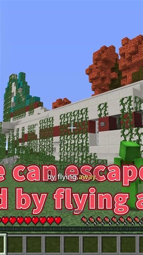 🎯 The Plane Crash Wasn’t the End — We’re Fixing It