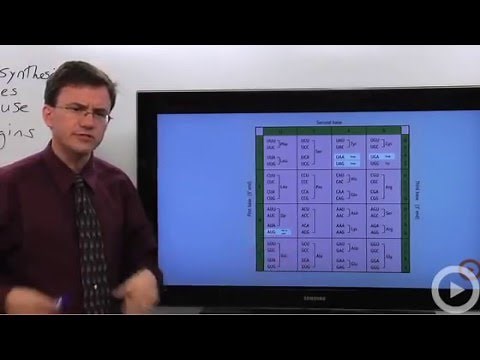 Biology Transcription