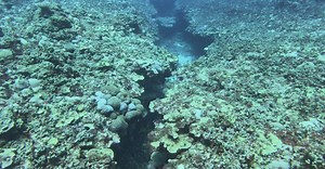 Video by JUN HO LEE on Pexels