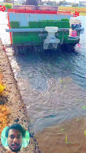 paddy planter machine 😱 #shorts #agriculture #machinery #trend #riceplanting #machine #agro #fypviralシ #farming | 𝘽𝙡𝙪𝙚 𝘾𝙝𝙚𝙢𝙥