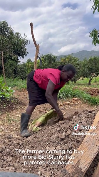 Bio-Slurry: Optimize Crop Growth with Organic Fertilizer