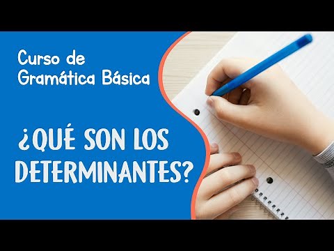 Determinantes en español y sus tipos | Curso de Gramática Básica