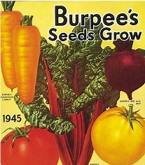 Seed catalog covers from 1884 - present