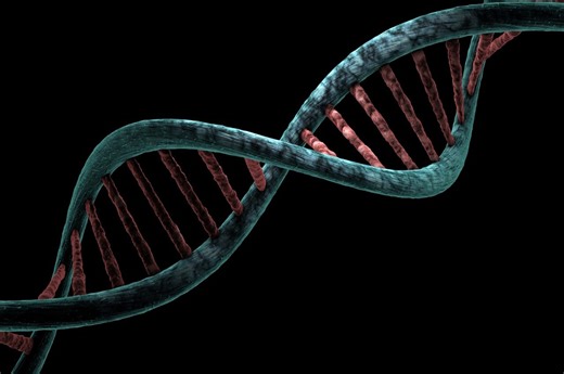 New Understanding of BRCA2 Mutation-Driven Mechanism Could Inform Anti-Cancer Drug Development | Cancer