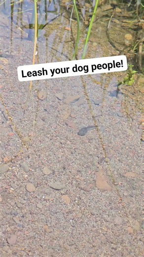 165K views · 276 reactions | Bet nobodys picking up his poop either...浪 #fish #nature #wildlife | Aquapros | Facebook