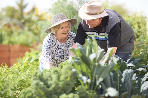 Your Lifestyle at Friendship Village Tempe