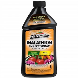 Reviews for Spectracide Malathion 32 fl oz Insect Spray Concentrate for Gardens | Pg 5 - The Home Depot