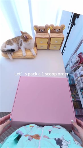 Hi Amy, this is your order packing video, hope you like it!💕💕#luckyscoop #mysteryscoop #asmr #packingorders #mysterybox
