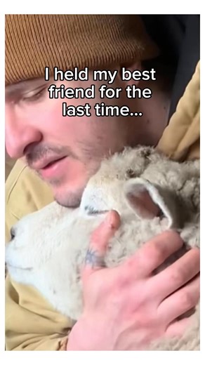 20K views · 772 reactions | I’m not crying you are凉 #wholesome #animals | StoryTime | Facebook