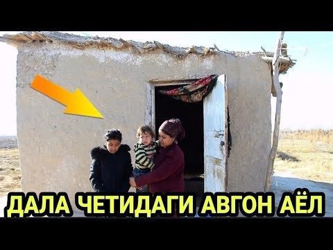 ДАЛА ЧЕТИДАГИ АВГОН АЁЛ ОИЛАСИ (Охунов тв)