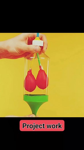 1.1K views | Lungs model#science #experimnent | ScienceboosterinNepali | Facebook