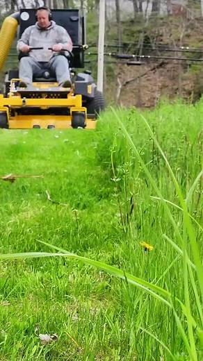 Actually 4😅 Square Barrels are the best for dumping into! #fypシ #lawncare #thebest #LaurelRoad4Nurses #bluecollar #SearchForWonderMom #thewrightway #squarebarrel