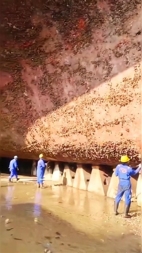 This Is Why Yachts Need Regular Hull Cleaning.