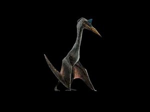 Quetzalcoatlus Sound Effects