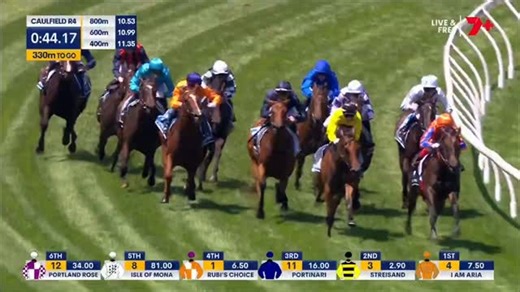 F.R.W on Instagram: "Sportsbet Blue Diamond Prelude Group 2 | Class 1 | Turf 2YO Fillies Only - D 1100 Meters Purse $350,000 🇦🇺📍Caulfield Racecourse Winner: Streisand Sire: Magnus Dam: Zouper Star Weight: 56 KG Age: 2 Sex: Filly Form: 22-51 Rating: Owner: GFY Racing Success (D Painter), D & D Racing (D Painter), Primal (M Gardiner), Riddell Racing Syndicate 1 (B Besanko), This Is My Lane (T Notman), A Blackshaw, A Haines, A Mcgrath, T Hartley, D Gilby, R Smith, R Bowen, R Darrah, A Spargo, P 