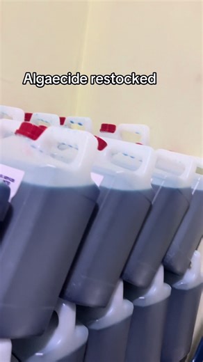 Swimming pool Algaecide in stock #tiktokuganda🇺🇬🇺🇬🇺🇬 #gogo #swimming #fyppppppppppppppppppppppp