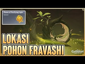 Semua Lokasi Pohon Fravashi | Putik Udumbara - Genshin Impact