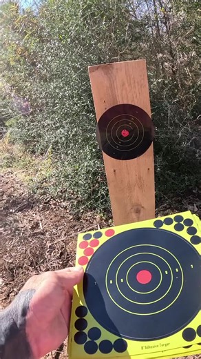 Reusable Targets for Air Rifle Practice Review