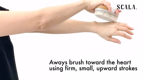 Dry Brushing Body Brush SCALA Natural Bristle Body Brush, Soft Body Exfoliating Brush Scrub for Dead Skin, Cellulite, Lymphatic Drainage, Blood Flow – Thicker & Stronger Medium Strength
