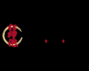 JED SCHWARTZ — Jin Shin Jyutsu Spirit Mind Body