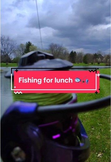 Fishing for Lunch: Catching Fresh Fish for Meals