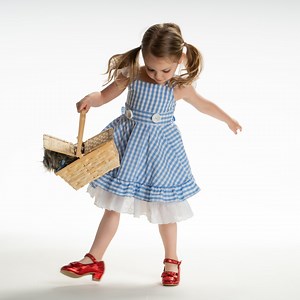 READY TO SHIP, Wizard of Oz,dorothy Costume,wizard of Oz Costume,cosplay,halloween Costume,dance Costume,theater Costume,twirl Dress,girl - Etsy