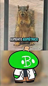 This squirrel is NOT sick 🐿️