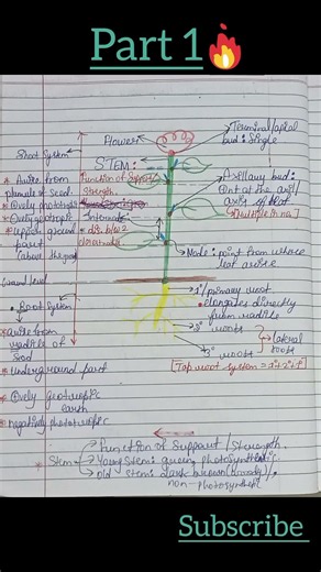 #neet Class 11th chapter 5 Morphology of flowering plants handwritten notes part 1