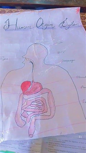 science drawing #diy #science