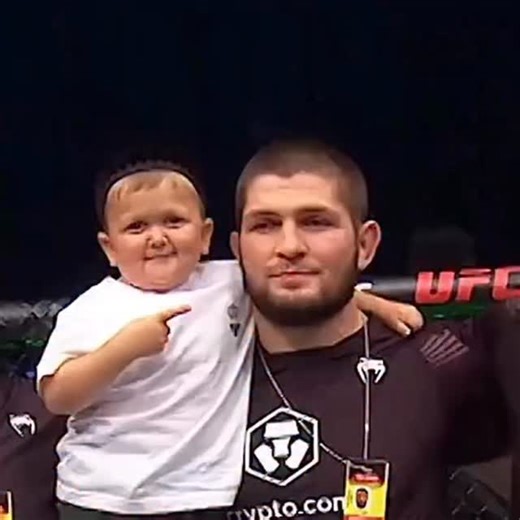 @birneeds_ on Instagram: "This chimpanzee could arguably pass a memory test faster than most humans.🧩⚡ In controlled cognitive experiments, chimpanzees can memorize the exact position of numbers on a screen after seeing them for just a fraction of a second, then recall them flawlessly once the numbers disappear. Humans, even when trained, consistently struggle to match this performance. The reason is neurological. Chimpanzee brains are optimized for rapid visual processing and instant recall, a