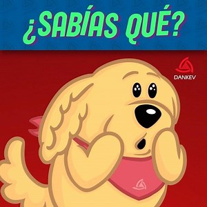 1.1M views · 40K reactions | ¡Divertidos datos para mejorar el día! 殺 | Dankev | Facebook