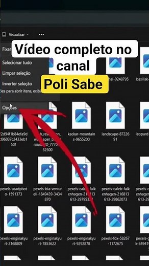 Como visualizar imagens no pc sem precisar abrir! #windows #explorador #visualizacao