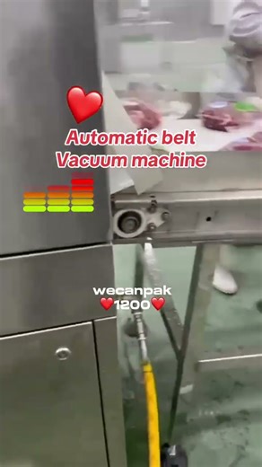 Automatic chamber vacuum machine automatic belt vacuum packaging machine vacuum machine＃vacuumpacker