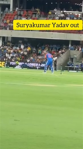 Tim David celebration after taking Suryakumar Yadav catch goes viral #cricketfever #cricketer #cricketnews #cricketfans #cricketlovers #timdavid | Prakash Badiyasar Choudhary