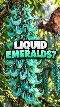 Jade Vine: How This Rare Flower Turns Turquoise 💚🌸